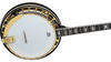 Washburn Sunburst 5-String Banjo