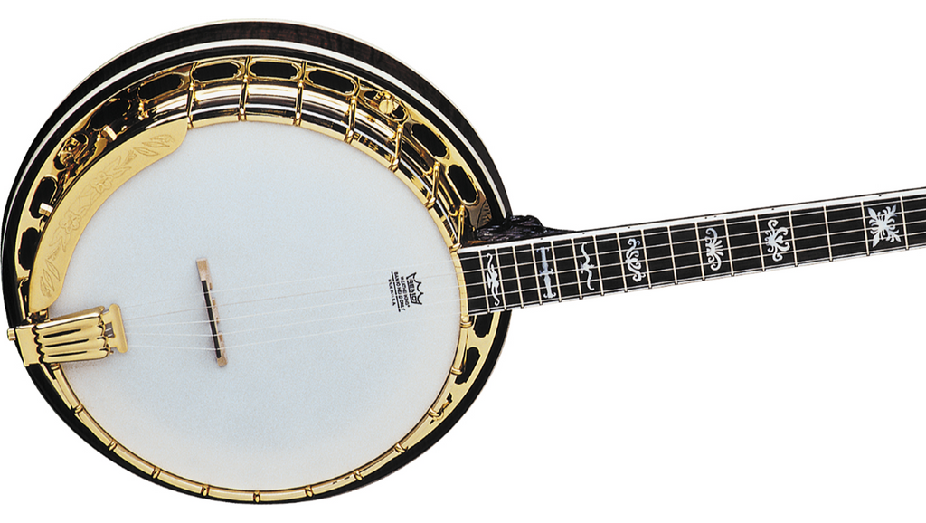 Washburn 5 string online banjo