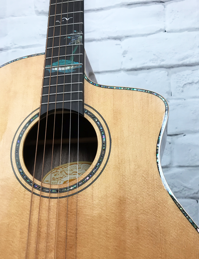 Washburn sc56s deals