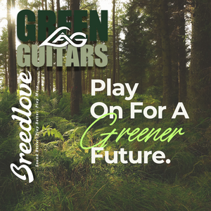Eco~Friendly Guitars