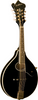 Washburn M1SD Americana A-Style Mandolin Solid Spruce Top, Black