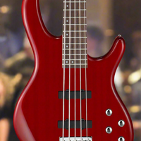 Cort ACTIONBASSVPLUSTR Action 5 String Bass Guitar, Trans Red