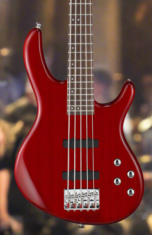 Kin Instruments Cort ACTIONBASSVPLUSTR Action 5 String Bass Guitar, Trans Red