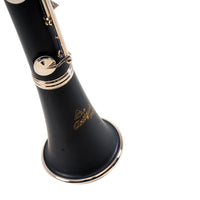 Antigua Vosi CL2220NK Clarinet, ABS Body