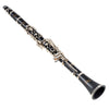 Antigua Vosi CL2220NK Clarinet, ABS Body