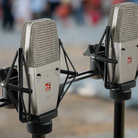 sE Electronics T1-PAIR Factory Matched Pair of T1 Large Diaphragm Condenser Microphones