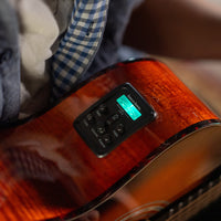 Washburn G10CE Comfort Series Apprentice Grand Auditorium Acoustic-Electric Guitar, Sunburst