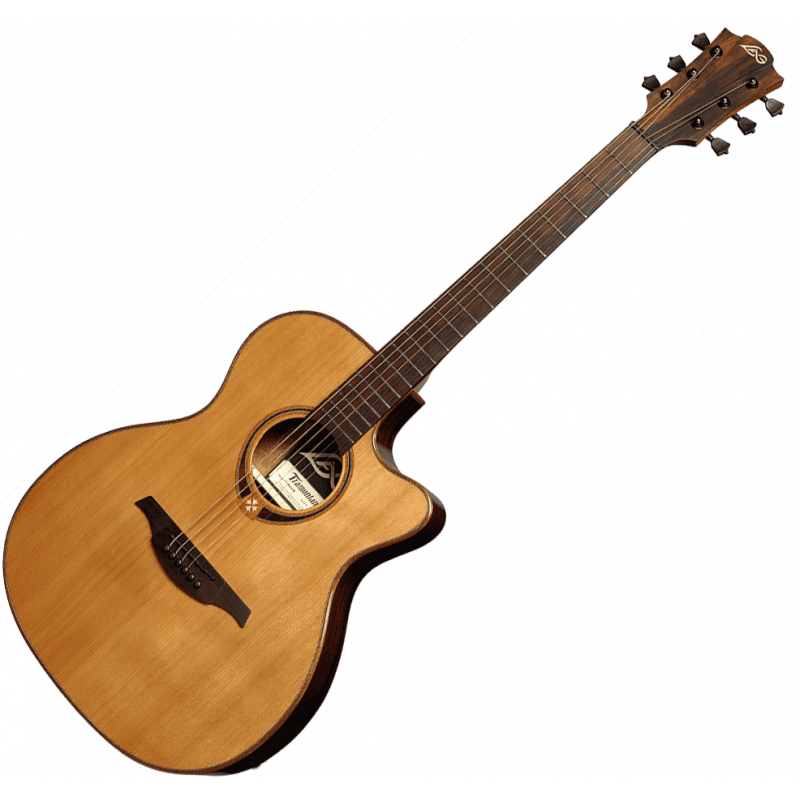 Lag Guitar Collection from Rockin' Instruments Lag Guitar Collection from Rockin' Instruments