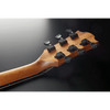 Lâg Sauvage Auditorium Acoustic Guitar With Gigbag