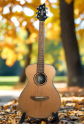 Breedlove ECO Discovery S Companion Acoustic Guitar, Red Cedar-African Mahogany