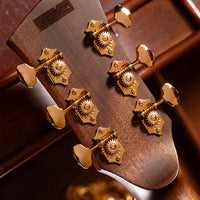 Cort GOLDA10 Gold Series A10 Cocobolo Acoustic-Electric Guitar, Natural Gloss With Hardshell Case