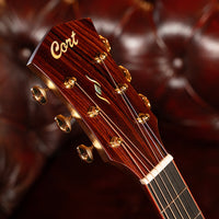 Cort GOLDA10 Gold Series A10 Cocobolo Acoustic-Electric Guitar, Natural Gloss With Hardshell Case