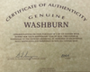 Washburn Anniversary USA Custom Shop RSD-135 #2001 Acoustic Guitar w/Hardshell Case