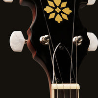 Washburn Americana B7 Banjo with FREE Hardshell Case