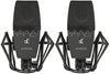 sE Electronics sE4400a (Matched Pair) (Dual Diaph Condenser Mic MP) W/Mounting And Case