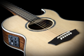 Washburn Festival EA20S Nuno Bettencourt Acoustic-Electric Guitar, Natural