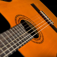 Washburn Classical C5CE Nylon Acoustic Guitar