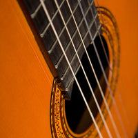 Washburn Classical Series C5 6-String Acoustic Guitar, Natural