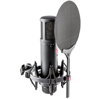 SE Electronics SE2200 Large Diaphragm Cardioid Condenser Microphone