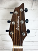 Breedlove Organic Signature Concert CE Acoustic-Electric Guitar, Copper Burst