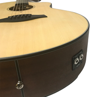 TerraVerb with HyVibe Installed Acoustic-Electric Guitar 