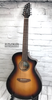 Breedlove Discovery S Concert Edgeburst 12 String CE Acoustic-Electric Guitar, Sitka-African Mahogany