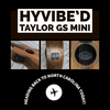 HyVibe A Guitar With Us! Authorized Installation Package