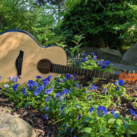 TerraVerb with HyVibe Installed Acoustic-Electric Guitar
