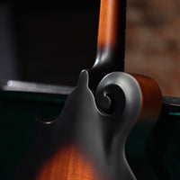 Washburn Florentine Cutaway Washburn M108S American Series F Style Mandolin
