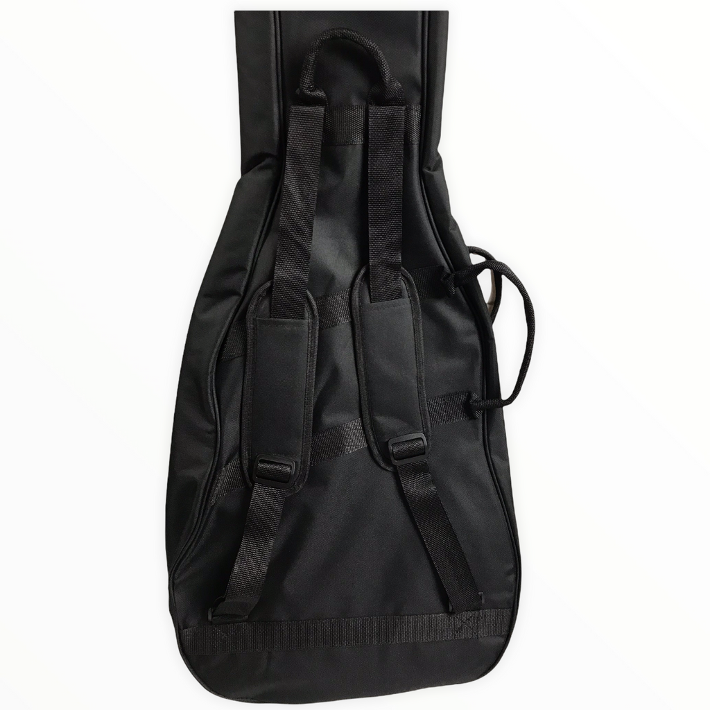 Breedlove gig deals bag