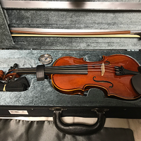 Stentor 1560F Stentor Conservatoire II Violin, 1/4 Scale