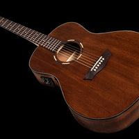 Washburn Wl012se Woodline 10 Series Acoustic-Electric Guitar